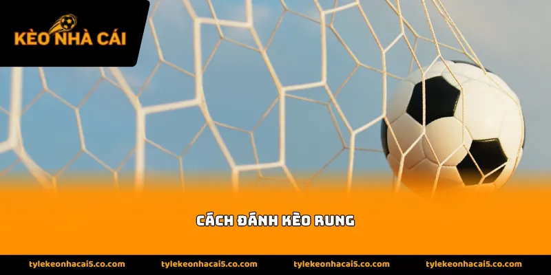 Hiểu đúng bảng chất của kèo cược rung