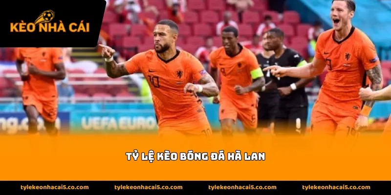 Thông tin giới thiệu về tỷ lệ kèo bóng đá Hà Lan