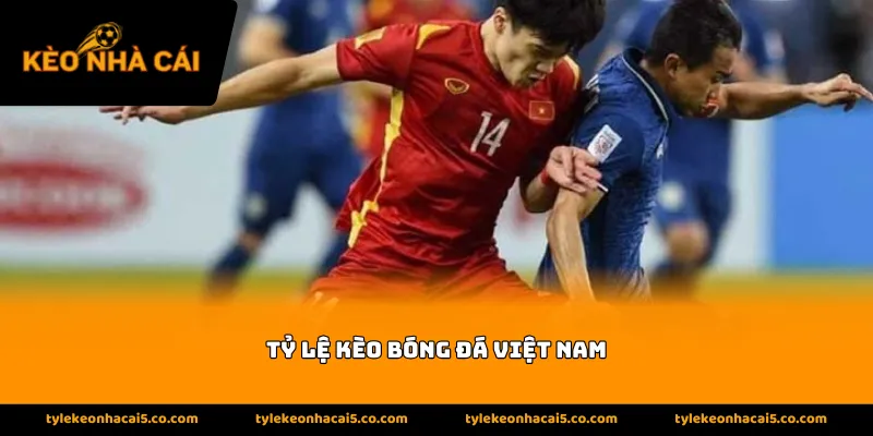 Thông tin về tỷ lệ kèo bóng đá Việt Nam